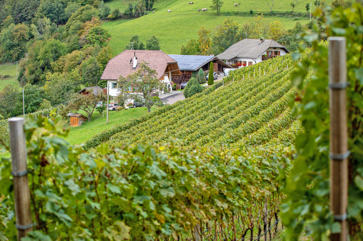 Der Hof der Familie Röll